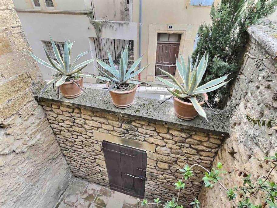 Chez Lydia - Loft Cosy, Depart Canoe A Pied, Proche Pont-Du-Gard Et Uzes 里茅林斯 外观 照片